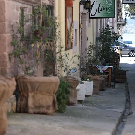 Olivia1845 Over 16 Years Old بيت ضيافة Ayvalı