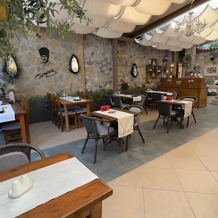 Olivia1845 Over 16 Years Old بيت ضيافة