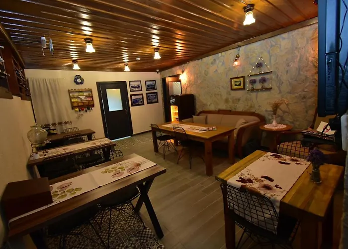 بيت ضيافة Olivia1845 Over 16 Years Old