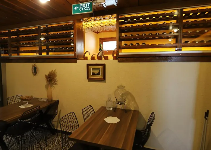 Olivia1845 Over 16 Years Old