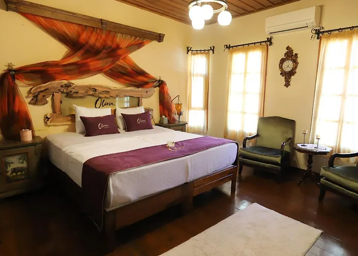 Olivia1845 Over 16 Years Old بيت ضيافة *