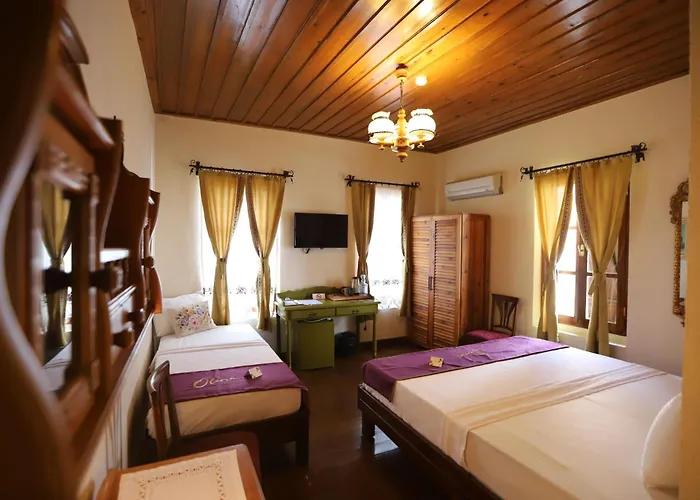 Olivia1845 Over 16 Years Old * Ayvalı