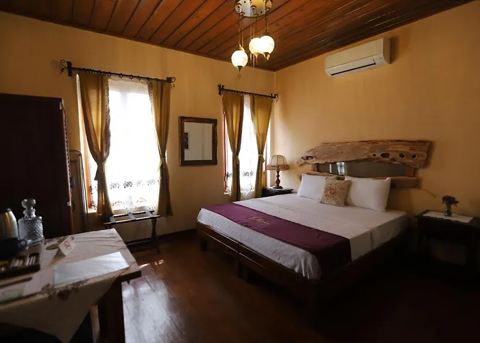 Olivia1845 Over 16 Years Old بيت ضيافة Ayvalı