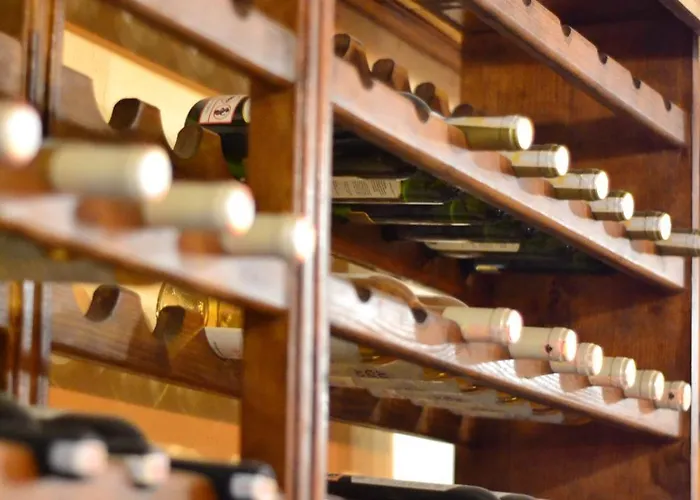 Olivia1845 Over 16 Years Old