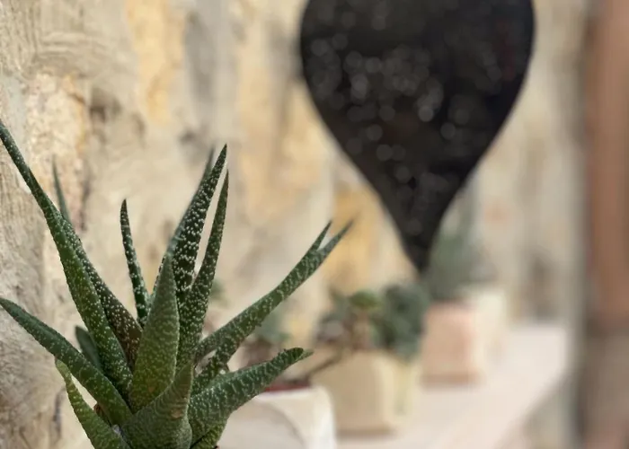 بيت ضيافة Olivia1845 Over 16 Years Old *