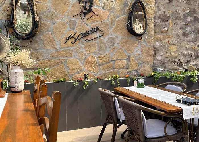 Olivia1845 Over 16 Years Old