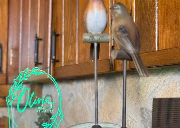 Olivia1845 Over 16 Years Old *