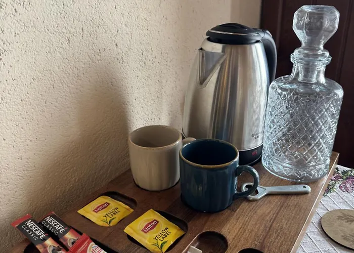 بيت ضيافة Olivia1845 Over 16 Years Old *