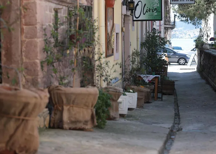 Olivia1845 Over 16 Years Old بيت ضيافة Ayvalı