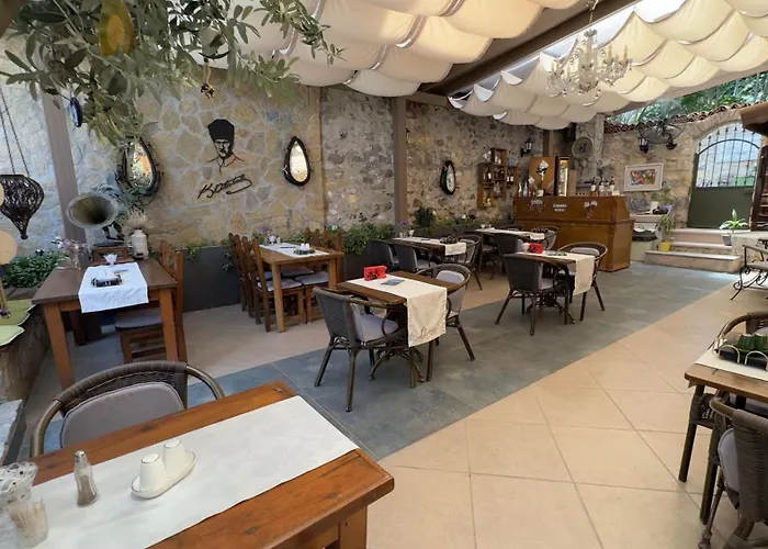 Olivia1845 Over 16 Years Old بيت ضيافة