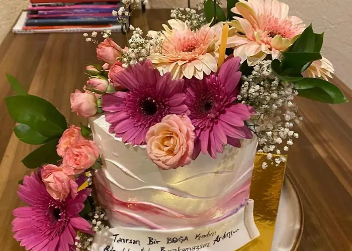 Olivia1845 Over 16 Years Old