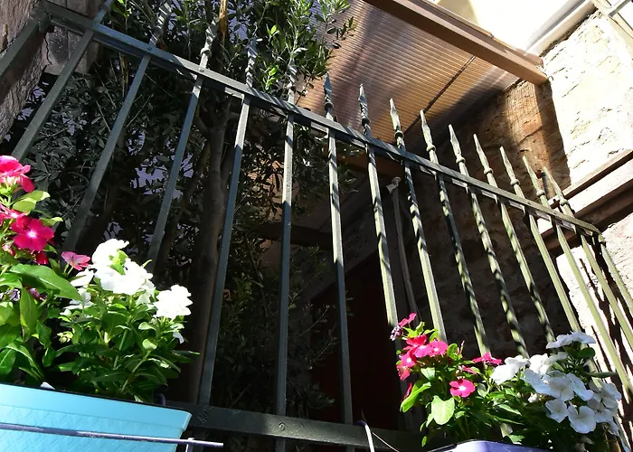 Olivia1845 Over 16 Years Old * Ayvalı