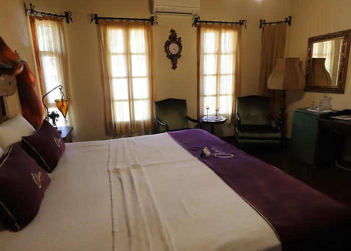 Olivia1845 Over 16 Years Old Ayvalı