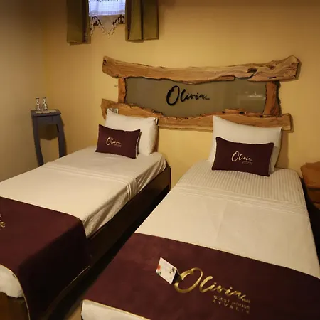 Olivia1845 Over 16 Years Old Гостьовий будинок Айвалик