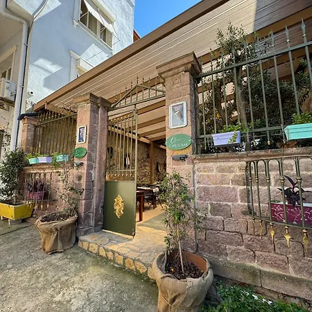 Olivia1845 Over 16 Years Old Гостьовий будинок Айвалик