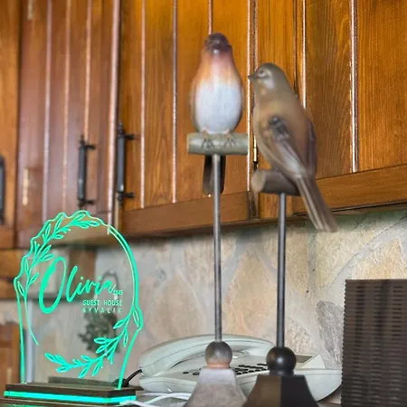 Olivia1845 Over 16 Years Old *