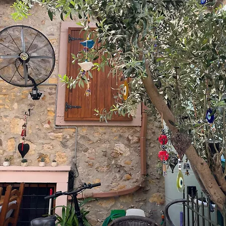 Olivia1845 Over 16 Years Old Айвалик