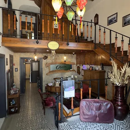 Гостьовий будинок Olivia1845 Over 16 Years Old Айвалик