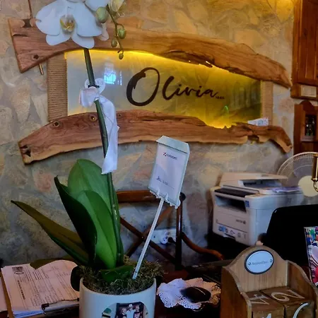 Olivia1845 Over 16 Years Old Гостьовий будинок Айвалик