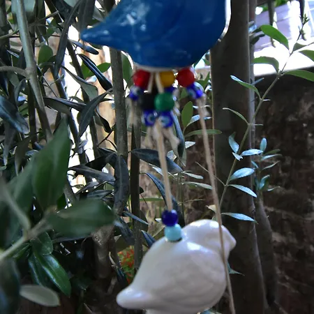 Olivia1845 Over 16 Years Old * Айвалик