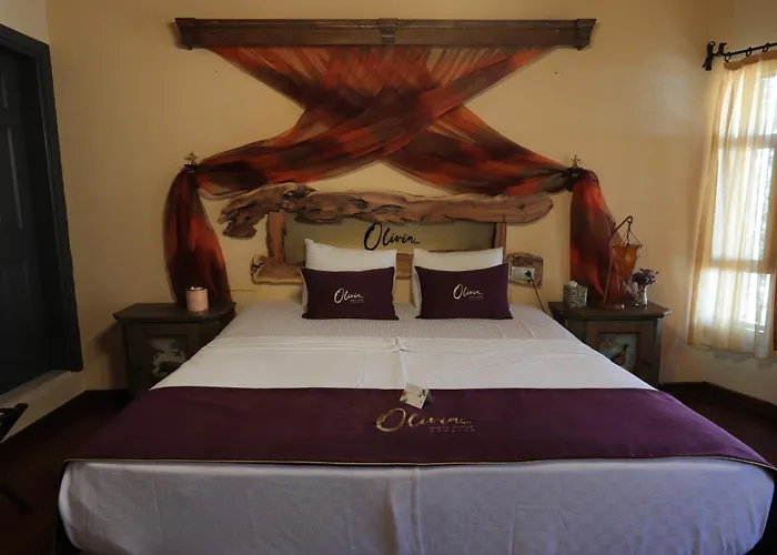 Πανσιόν Olivia1845 Over 16 Years Old *