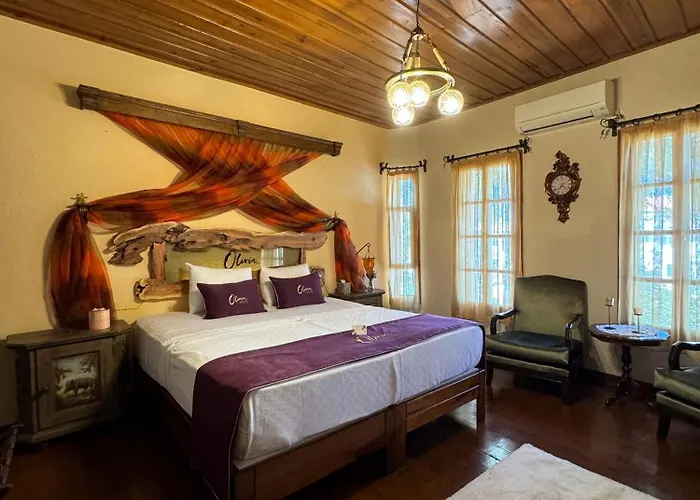 Olivia1845 Over 16 Years Old Πανσιόν