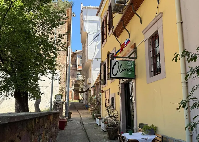 Πανσιόν Olivia1845 Over 16 Years Old