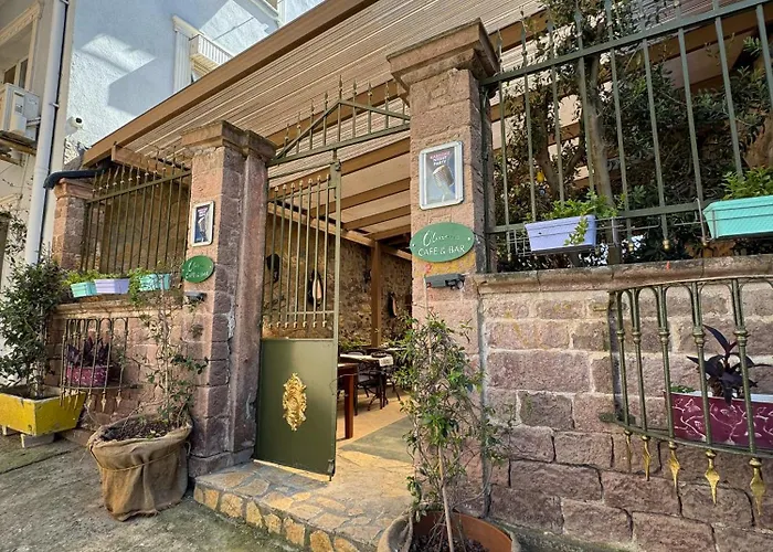 Olivia1845 Over 16 Years Old Πανσιόν Ayvalı