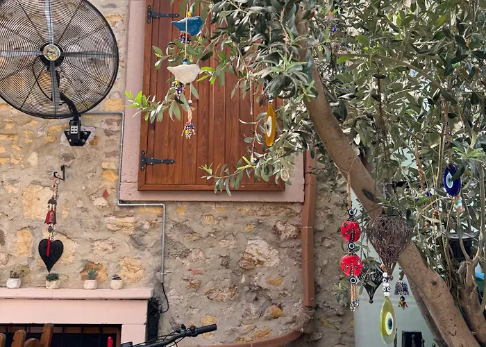 Olivia1845 Over 16 Years Old Ayvalı