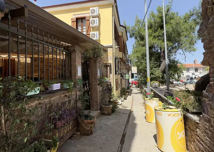 Olivia1845 Over 16 Years Old