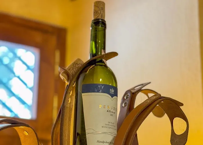 Olivia1845 Over 16 Years Old Πανσιόν *