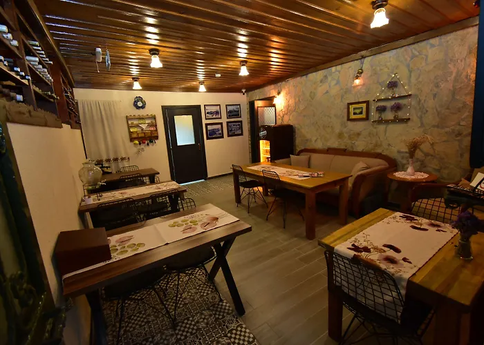 Olivia1845 Over 16 Years Old Πανσιόν