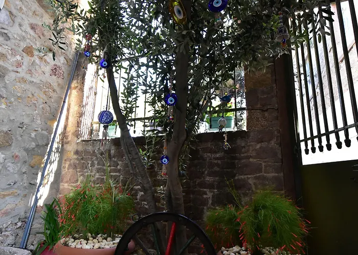 Olivia1845 Over 16 Years Old Πανσιόν Ayvalı