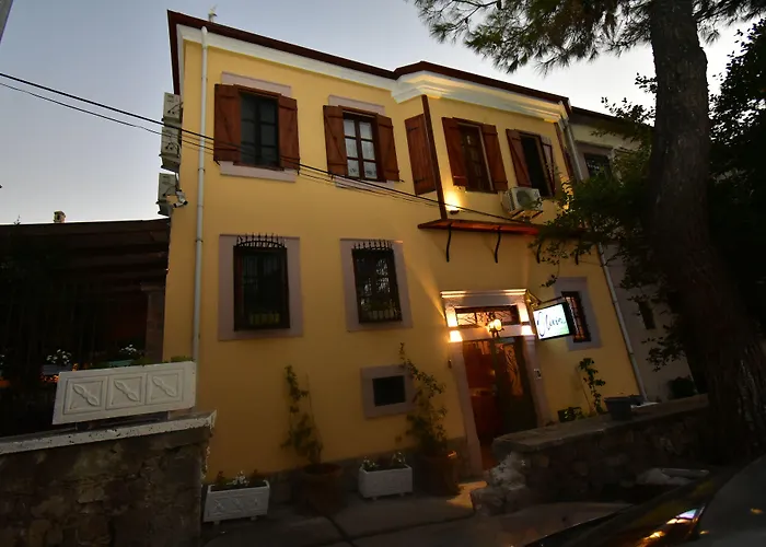 Olivia1845 Over 16 Years Old Πανσιόν *