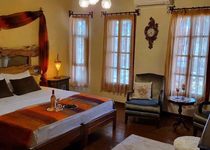 招待所 Olivia1845 Over 16 Years Old