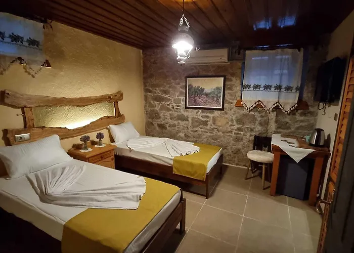 Olivia1845 Over 16 Years Old Ayvalı